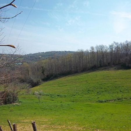 Agriturismo Norianino Montemerano Eksteriør bilde