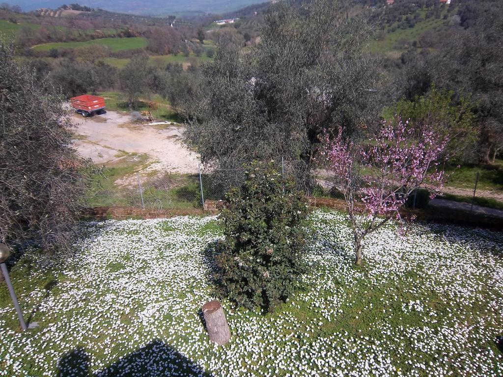 Agriturismo Norianino Montemerano Eksteriør bilde