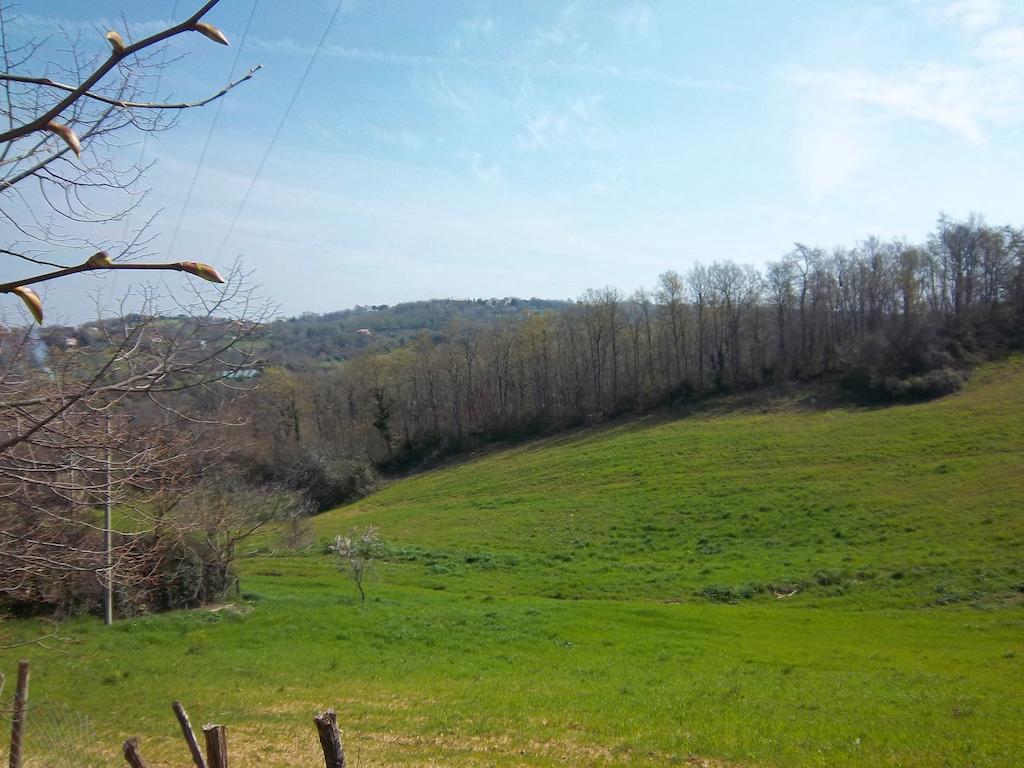 Agriturismo Norianino Montemerano Eksteriør bilde